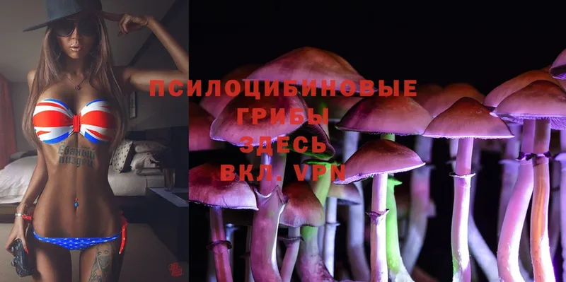 Псилоцибиновые грибы Cubensis  наркота  Красноперекопск 